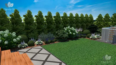 OGRODY OLI Aleksandra Wyrchowy | Projektowanie ogrodów Racibórz i okolice | Gotowe projekty rabat